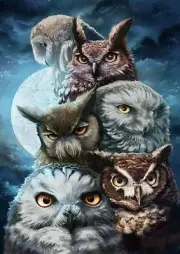 Group Of Owls Iron On Transfer For T-Shirt + Other Light & Dark Fabrics #2