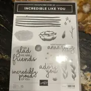 Stampin Up! INCREDIBLE LIKE YOU 148708 NEW