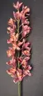 Artificial Cymbidium Orchid stem RUST MAUVE