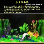 包郵大魚缸造景裝飾仿真假草套餐1.2米水族箱布景假山仿真水草