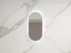 450*900*30mm Frameless Black Framed Gold Framed Oval LED Mirror Dimmable Colour