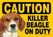 Caution Killer BEAGLE on Duty-Plastic Sign 5" by 7"
