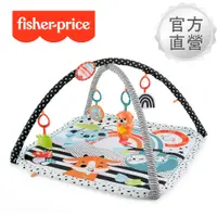 在飛比找誠品線上優惠-【Fisher price 費雪】視覺啟蒙健身器