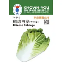 在飛比找蝦皮購物優惠-【台灣出貨 電子發票】結球白菜(大白菜) 種子 80粒 菜籽