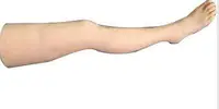 在飛比找Yahoo!奇摩拍賣優惠-SKY/ZS3針灸腿部訓練模型針灸人體腿部穴位針灸練習教學模