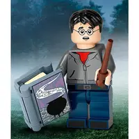 在飛比找蝦皮購物優惠-LEGO樂高 71028 哈利波特第二代人偶包 Harry 