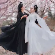 Fairy Clothing Hanfu Dress Ancient Chinese Costume Tang Dynasty Dance Dress Up