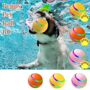 Pet Ball for Dogs with Remote Control Interactive Toy with LED Flash Ball