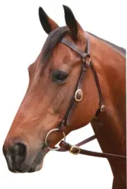 Showcraft Barcoo Brown 3/4" Brass Bridle With Reins Pony/Cob/Full