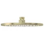 Round Shower Rose, 200mm, PVD Tiger Bronze