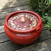 MSEONWXI Red Glazed Resin Outdoor Water Fountain with LED Lights - Modern Garden Fountain for Patio Decor, Rustic Design Water Feature with River Rocks for Yard 24396