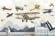 Air plane Mountain Removable Wall Mural LSP052