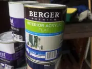 BERGER BY DULUX 1 LITRE INTERIOR FLAT WHITE colour paint