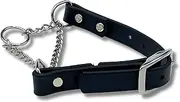 JIM HODGES DOG TRAINING Martingale Collar for Dogs, Biothane, Stainless Steel Hardware, No Pull, Made in The USA, Professional Grade. Large, Black