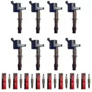 8 Brown Boot Ignition Coil Set + 8 Motorcraft Spark Plugs For 2008 Ford Mercury (for: Ford)