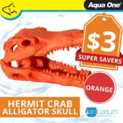 Aqua One Hermit Crab Alligator Skull Orange Ornament 7.5x4.5x4.5cm (37181OR)