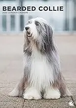 Bearded Collie Calendar 2026 – A Year of Lush Coats and Playful Spirits