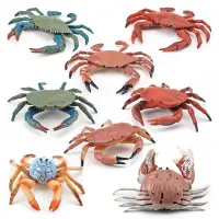 在飛比找蝦皮購物優惠-仿真海洋生物螃蟹模型 兒童科教沙蟹巻折饅頭蟹裝飾擺件玩具