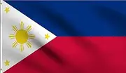 DMSE Philippines Filipino Philippine National Flag 3X5 Ft Foot 100% Polyester 100D Flag UV Resistant (3'X5' Ft Foot)