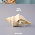 🌸好物推薦🌸外單正品 正版仿真動物模型 野生海洋 海螺白螺 男孩兒童玩具