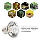 New (25W)UVB Reptile Heat Lamp Bulbs Full Spectrum Energy Saving Sunbathe Heat A