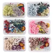 1 Box Random Dried Flowers Resin Fillings UV Expoxy Jewelry Making Craft DIY