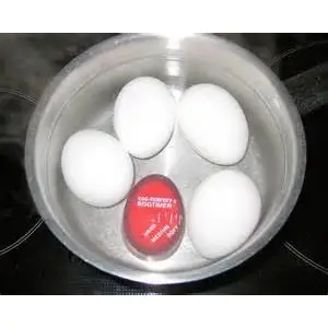 料理好幫手 煮出溏心蛋 半熟蛋 觀測器 水煮蛋計時器 雞蛋熟度觀測器 溫泉蛋