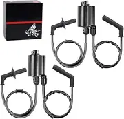 2set of Ignition Coil & Spark Plug Cap Compatible with Shadow 1100 Shadow Aero 1100 Spirit 1100 Sabre 1100 ACE 1100 VT1100 1987-2007