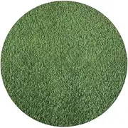 Happyyami Round Artificial Grass Turf Circular Outdoor Indoor Carpet Realistic Synthetic Grass Runner Soft Grass Mat for Pet Dog Lawn Garden 60cm