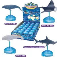 在飛比找蝦皮購物優惠-<台灣現貨> 4D拚裝 海洋生物模型海豚模型 4D大扭蛋海洋
