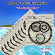 MHP & MHPU PUMP REPAIR KIT BY LIBERTY POOL 65075 REPLACEMENT FITS JANDY 10-PACK