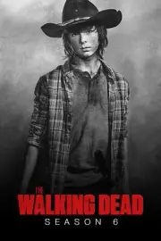 The Walking Dead TWD TV Season 6 Rick Grimes Carl Michonne Daryl Morgan FAST
