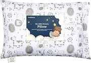 Toddler Pillow with Pillowcase - My Little Dreamy Pillow - Organic Cotton Toddler Pillows for Sleeping, Kids Pillow, Travel Pillows for Sleeping, Mini Pillow, Toddler Bed Pillows (KeaSafari)