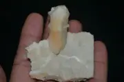 stilbite on chalcedony mineral specimen india #560