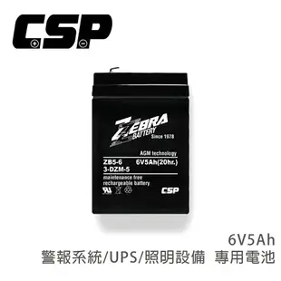 兒童電動車遙控汽車充電組 ZEBRA 6V5A +6V1A充電器 小孩超大號玩具車可坐人童車 ZEBRA ZB5-6