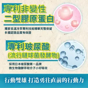 【日本味王】行動對策荷蘭專利二型膠原蛋白30粒X3盒(葡萄糖胺、MSM、軟骨素、玻尿酸)