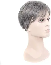 Ipetboom Realistic Short Grey Wig Head Gear High Temp Fiber Men's Fashion Wig for Daily Use