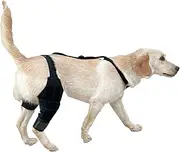 Dgayaeic Dog Knee Brace | Dog Rear Leg Sleeve,Non-Slip Pet Knee Sleeve with Adjustable Strap for Injury Rehabilitation Weakness Mobility Fixation