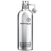 Montale Chocolate Greedy EDP 100ml