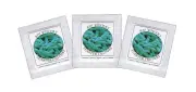Yogurt Starter Cultures for Homemade Bifido Yogurt (Pack of 3 sachets)