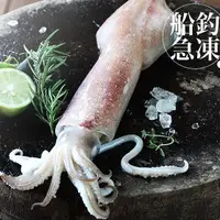 在飛比找蝦皮商城優惠-南海豐【船釣！活凍透抽】單尾急凍高品質/船上急凍透抽，海上先