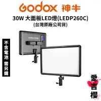 在飛比找蝦皮商城優惠-【Godox】30W 大面板LED燈 (LEDP260C) 