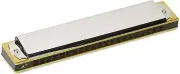 TOMBO No.1921S A Key Iwasaki Solo Tremolo Harmonica 21 holes from Japan
