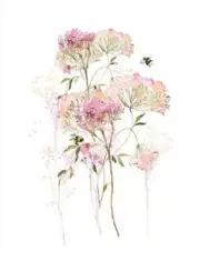 Summer Thornton SET of 5 ART PRINT POSTER 40x50cm Floral Meadow Mist Vase II III