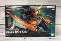 在飛比找Yahoo!奇摩拍賣優惠-【G&T】Figure-rise Standard 假面騎士