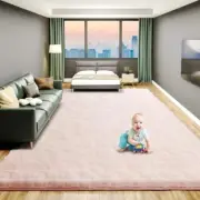 Large 9x12 Area Rugs for Living Room, Luxury Fluffy Shag Fuzzy 9X12 Feet Pink