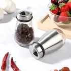 Stainless Steel Glass Pepper Shakers Salt Bottle Storage Spice Dispenser