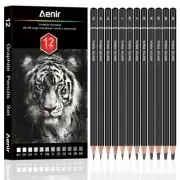 Sketching Pencils for Drawing, Set of 12 Drawing Pencils for Sketching Medium...