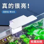 💖本地發貨💖魚缸水草燈 LED魚缸燈 水族用品 全光譜LED魚缸燈 USB桌麵魚缸夾燈 造景水草模擬太陽光燈網紅魚缸