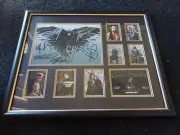 GAME OF THRONES SIGNED LIMITED EDITION FRAMED MEMORABILIA 253/500